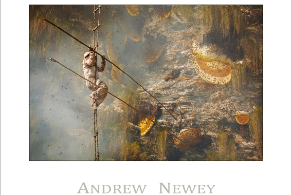 Copyright © Andrew Newey. All Rights Reserved.