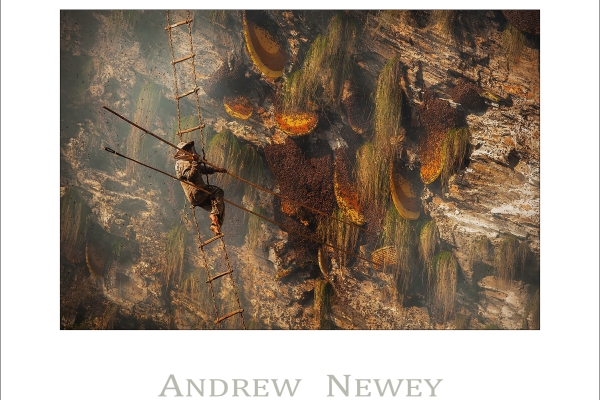 Copyright © Andrew Newey. All Rights Reserved.