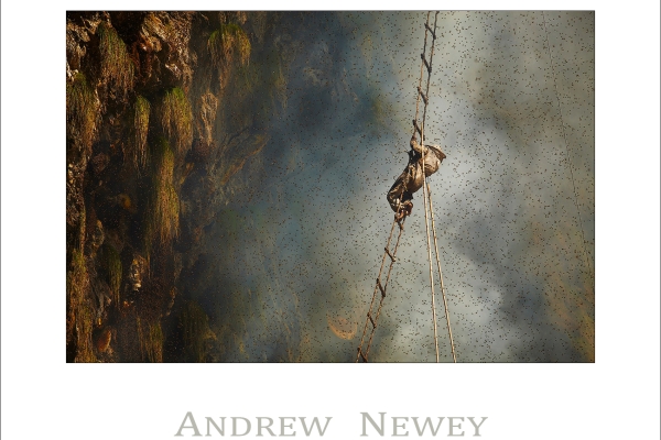 Copyright © Andrew Newey. All Rights Reserved.