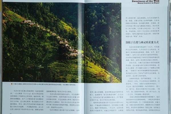 Civilization - Magazine