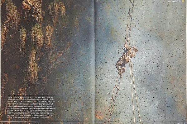 Geographical - Magazine