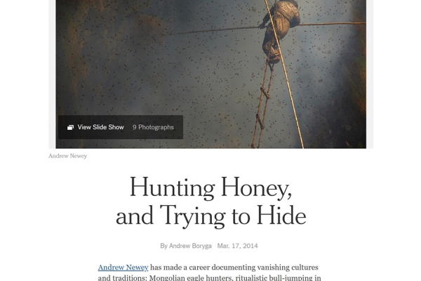 New York Times - Website